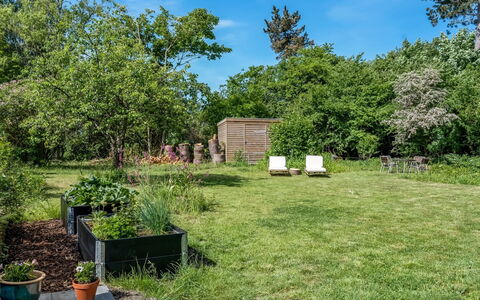 Franki - 1.8Km from the Sea: Vegetazione, Arbusto, Giardino, Lotto, Comunita 'Impianto, Groundcover, Prato, Shade, Backyard
