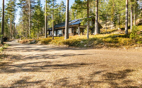 Villa Underberg: Albero, Woodland, Foresta, Tronco, Villetta, Larice, Boschetto, Log Cabin