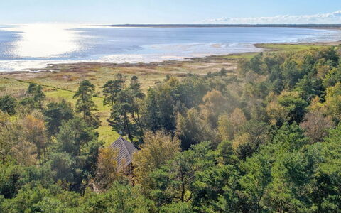 Aman - 100M from the Sea: Erba, Legna, Area Rurale, Arbusto, Villetta, Tetto, Plain, Lotto, Casa, Groundcover