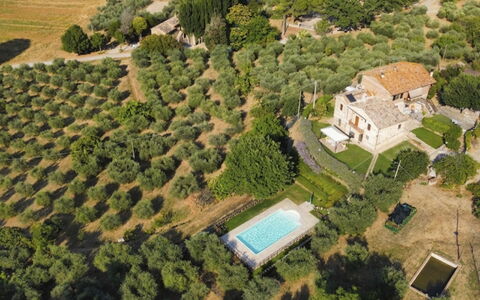Casa dei Nonni: Albero, Casa, Zona Residenziale, Casa, Estate, Paesaggio, Architettura, Lotto, Area Rurale