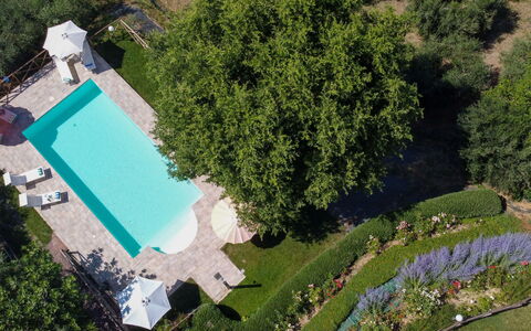 Casa dei Nonni: Piscina, Giardino, Tempo Libero, Ricorrere, Prato, Estate, Backyard, Landscaping, Shade, Cortile