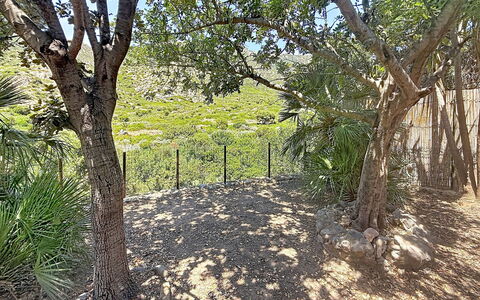 Villa sulla Roccia: Ramo, Legna, Comunita 'Impianto, Tronco, Suolo, Woody Impianto, Shade, Recinzione, Giardino