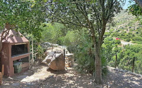 Villa sulla Roccia: Vegetazione, Arbusto, Comunita 'Impianto, Area Rurale, Giardino, Suolo, Shrubland, Backyard, Sentiero