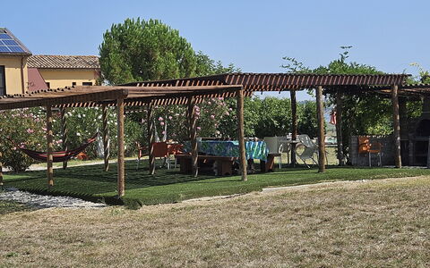 Casale dei Ciliegi: Shade, Giardino, Lotto, Gazebo, Prato, Struttura Esterna, Backyard, Padiglione, Pergola