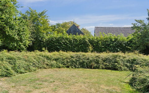 Skjold - 250M from the Sea: Erba, Vegetazione, Arbusto, Comunita 'Impianto, Groundcover, Hedge, Lotto, Giardino, Piantagione