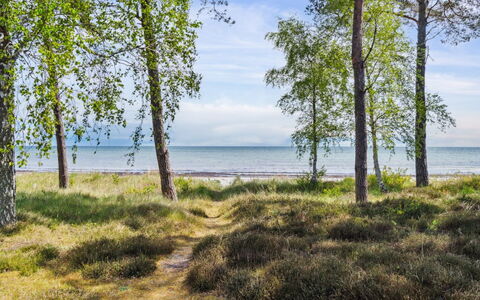 Liska - 60M from the Sea: Legna, Tetto, Casa, Casa, Architettura, Raccordo, Lotto, Villetta, Capannone, Edifici Giardino