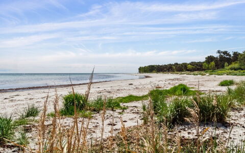 Liska - 60M from the Sea: Legna, Tetto, Casa, Casa, Architettura, Raccordo, Lotto, Villetta, Capannone, Edifici Giardino