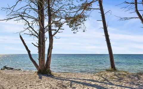 Jerg - 1Km from the Sea: Blu, Corpo D'Acqua, Legna, Costa, Spiaggia, Costiera E Morfologie Oceanic, Riva, Mare, Sabbia