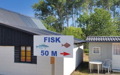 Jerg - 1Km from the Sea