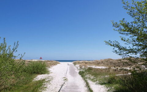 Eggerich - 700M from the Sea: Zona Residenziale, Arbusto, Casa, Casa, Giardino, Estate, Shade, Landscaping, Prato