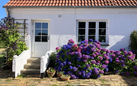 Hening - 150M from the Sea: Costruzione, Casa, Finestra, Casa, Tetto, Zona Residenziale, Arbusto, Villetta, Lotto