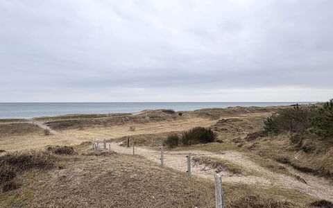 Elisej - 350M from the Sea: Cielo, Orizzonte, Ecoregione, Plain, Comunita 'Impianto, Lotto, Sabbia, Shrubland, Suolo, Steppa