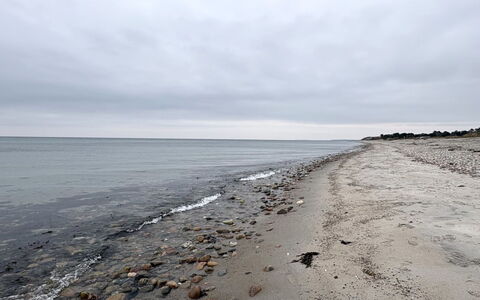 Elisej - 350M from the Sea: Cielo, Blu, Acqua, Spiaggia, Ambiente Naturale, Orizzonte, Costa, Riva, Mare