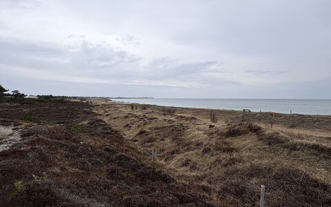 Elisej - 350M from the Sea: Cielo, Orizzonte, Ecoregione, Nube, Mare, Shrubland, Sabbia, Spiaggia, Costa, Suolo
