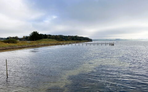 Albertine - 225M from the Sea: Zona Residenziale, Arbusto, Casa, Casa, Giardino, Estate, Shade, Landscaping, Prato