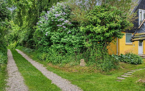 Verene - 725M from the Sea: Verde, Foglia, Vegetazione, Arbusto, Giardino, Comunita 'Impianto, Groundcover, Primavera, Villetta, Woody Impianto