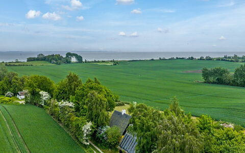 Verene - 725M from the Sea: Verde, Erba, Paesaggio Naturale, Pascolo, Paesaggio, Plain, Lotto, Campo, Area Rurale, Piantagione