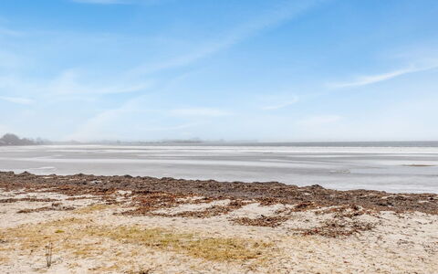 Ioar - 10M from the Sea: Zona Residenziale, Arbusto, Casa, Casa, Giardino, Estate, Shade, Landscaping, Prato