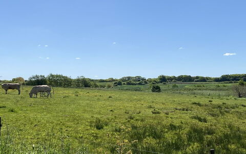 Grimi - 36Km from the Sea: Blu, Arbusto, Villetta, Groundcover, Giardino, Estate, Shade, Landscaping, Agriturismo, Eco Hotel