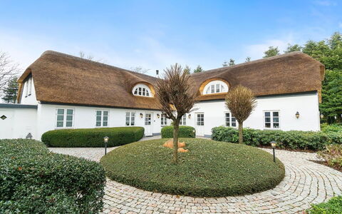 Jolanda: Blu, Arbusto, Villetta, Groundcover, Giardino, Estate, Shade, Landscaping, Agriturismo, Eco Hotel