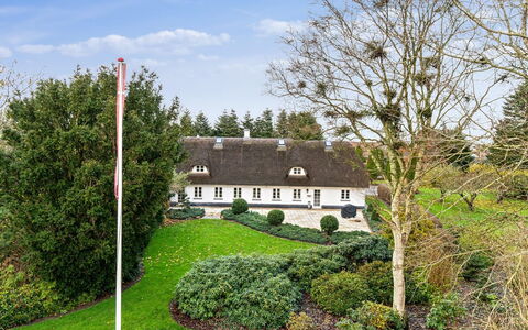 Jolanda: Blu, Arbusto, Villetta, Groundcover, Giardino, Estate, Shade, Landscaping, Agriturismo, Eco Hotel