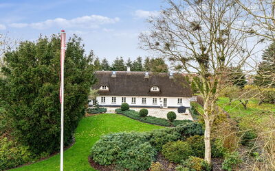 Jolanda