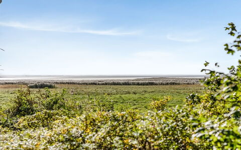 Aave - 5Km from the Sea: Cielo, Blu, Verde, Giorno, Fiore, Giallo, Vegetazione, Orizzonte, Ecoregione, Comunita 'Impianto