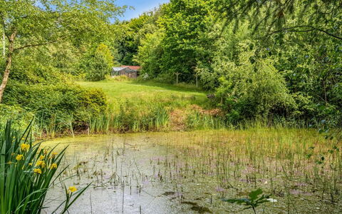 Tabetha - 24Km from the Sea: Verde, Acqua, Ambiente Naturale, Natura, Erba, Paesaggio Naturale, Vegetazione, Palude, Arbusto
