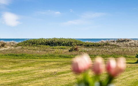 Nomi - 100M from the Sea: Cielo, Blu, Erba, Orizzonte, Ecoregione, Pascolo, Estate, Mare, Plain, Costa