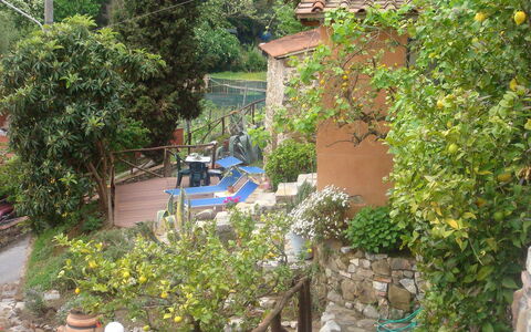 Massarosa 890: Proprietà, Giardino, Backyard, Cortile, Botanica, Immobiliare, Albero, Casa, Pianta, Landscaping
