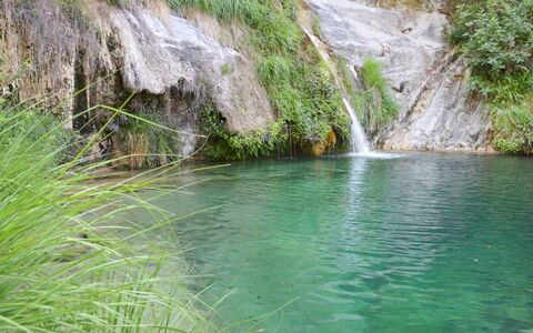 Alessandro: Risorse Idriche, Acqua, Corpo D'Acqua, Paesaggio Naturale, Alveo, Stream, Riserva Naturale