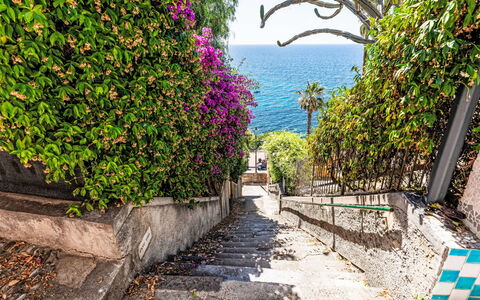 Villa Cristina: Blu, Verde, Vegetazione, Arbusto, Primavera, Mare, Oceano, Passerella, Tropici