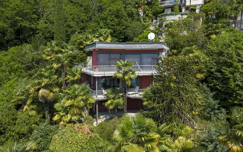 Max: Albero, Vegetazione, Arbusto, Balcone, Estate, Hacienda, Giungla, Eco Hotel, Villa