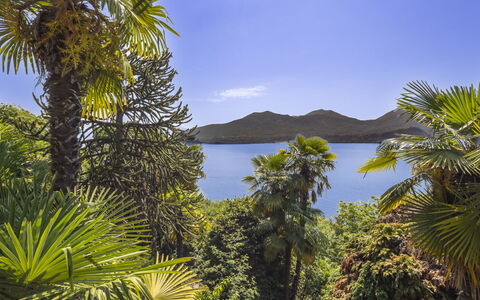 Max: Blu, Acqua, Verde, Natura, Foglia, Vegetazione, Costiera E Morfologie Oceanic, Lago, Tropici, Catena Montuosa