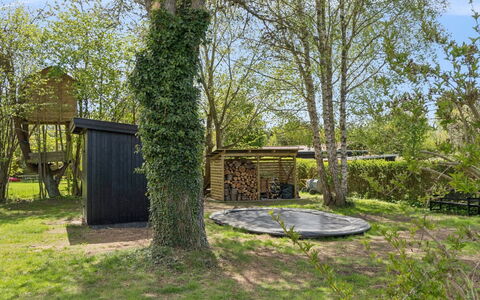 Alika - 700M from the Sea: Ramo, Legna, Arbusto, Giardino, Lotto, Tronco, Shade, Groundcover, Woody Impianto, Backyard