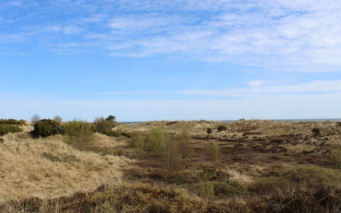 Mavis - 1.6Km from the Sea: Cielo, Blu, Ambiente Naturale, Erba, Vegetazione, Ecoregione, Pascolo, Orizzonte, Shrubland, Comunita 'Impianto