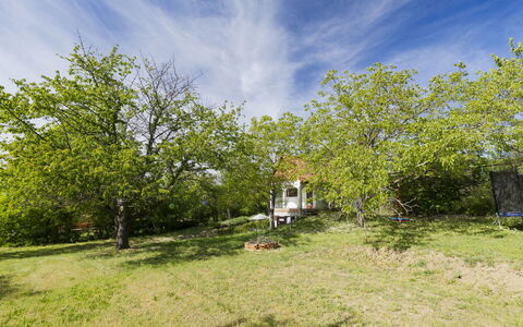 Öreghegy Kis Ház: Mobilia, Arbusto, Giardino, Mobili Da Esterno, Shade, Tavolo Esterno, Sedia, Terrazza, Backyard, Cortile