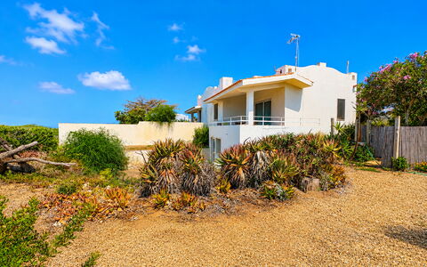 Punta Braccetto Fronte Mare: Cielo, Blu, Verde, Vegetazione, Arbusto, Estate, Comunita 'Impianto, Shrubland, Landscaping
