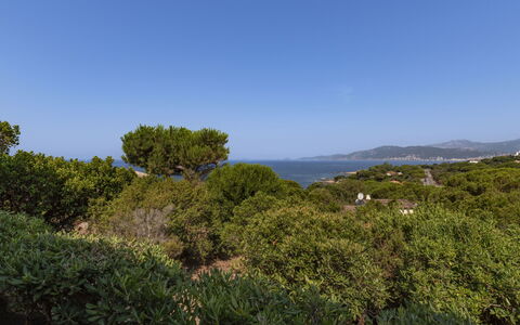U Sognu: Cielo, Blu, Foglia, Verde, Vegetazione, Orizzonte, Arbusto, Comunita 'Impianto, Ecoregione, Shrubland