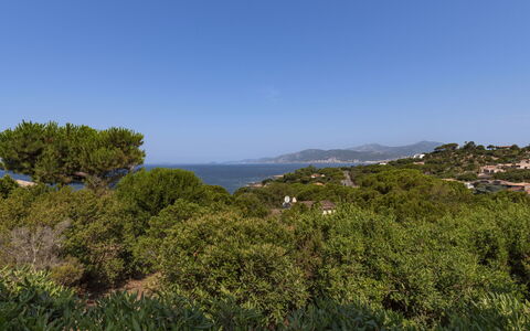 U Sognu: Cielo, Blu, Verde, Foglia, Vegetazione, Orizzonte, Paesaggio Naturale, Arbusto, Comunita 'Impianto, Ecoregione