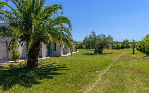 La Sorgente: Arbusto, Giardino, Woody Impianto, Prato, Landscaping, Estate, Driveway, Hacienda, Shade