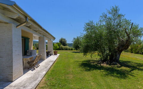 La Sorgente: Arbusto, Casa, Lotto, Giardino, Groundcover, Landscaping, Shade, Estate, Villetta