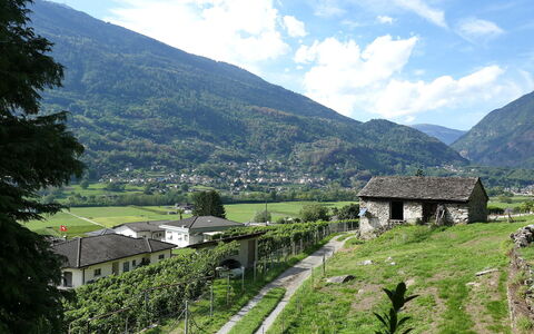 Casa Malva: Legna, Casa, Mobilia, Soffitto, Villetta, Soggiorno, Latifoglie, Sedia, Pavimento In Legno
