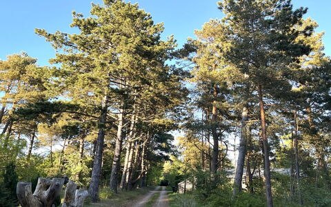 Aiyana - 2.1Km from the Sea: Mobilia, Mare, Sedia, Shade, Balcone, Mobili Da Esterno, Eco Hotel, Costa, Deck, Color Legno