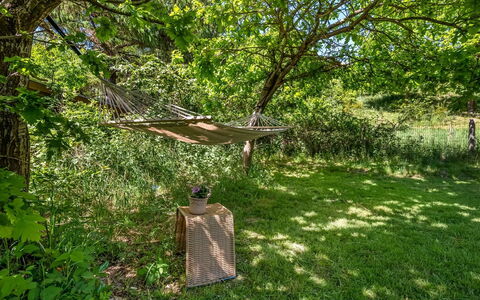Flor - 900M from the Sea: Verde, Ambiente Naturale, Natura, Foglia, Ramo, Vegetazione, Comunita 'Impianto, Giardino, Groundcover