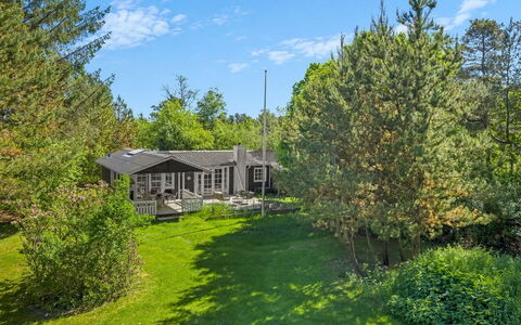 Volmer - 500M from the Sea: Albero, Erba, Vegetazione, Arbusto, Lotto, Comunita 'Impianto, Giardino, Casa, Villetta, Groundcover