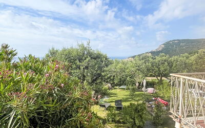 Finale Ligure 30: Arbusto, Paesaggio, Giardino, Landscaping, Giardino Botanico, Piantagione, Passerella, Sentiero