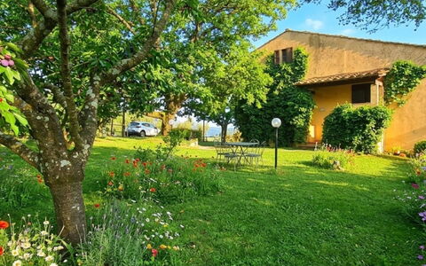 Edera: Erba, Casa, Area Rurale, Villetta, Tetto, Casa, Paesaggio, Plain, Lotto