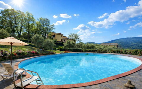 Edera: Erba, Casa, Area Rurale, Villetta, Tetto, Casa, Paesaggio, Plain, Lotto