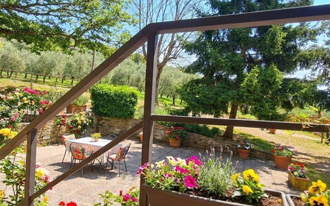 Geranio: Erba, Casa, Area Rurale, Villetta, Tetto, Casa, Paesaggio, Plain, Lotto